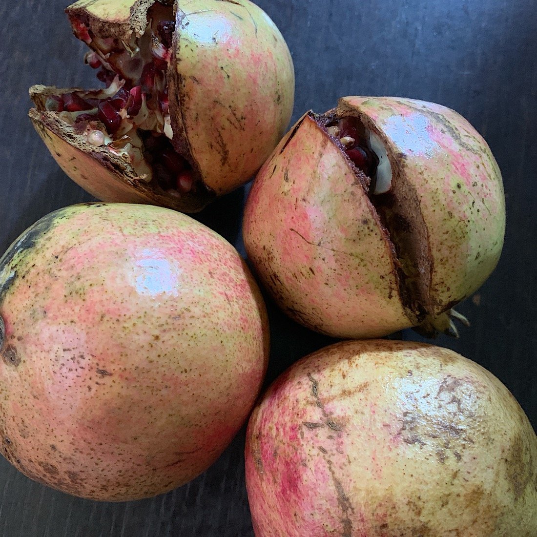 Albero o Alberello - PUNICA granatum Mollar MELOGRANO SPAGNOLO 20/10 A