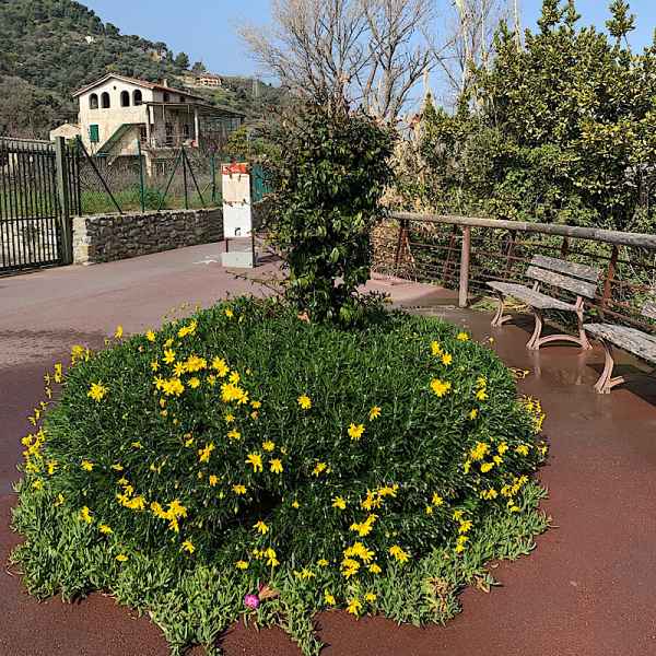 AIUOLA PISTA CICLABILE